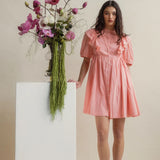 Rumi Dress in Petal Pink
