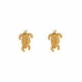 Encanto Turtle Studs - Gold